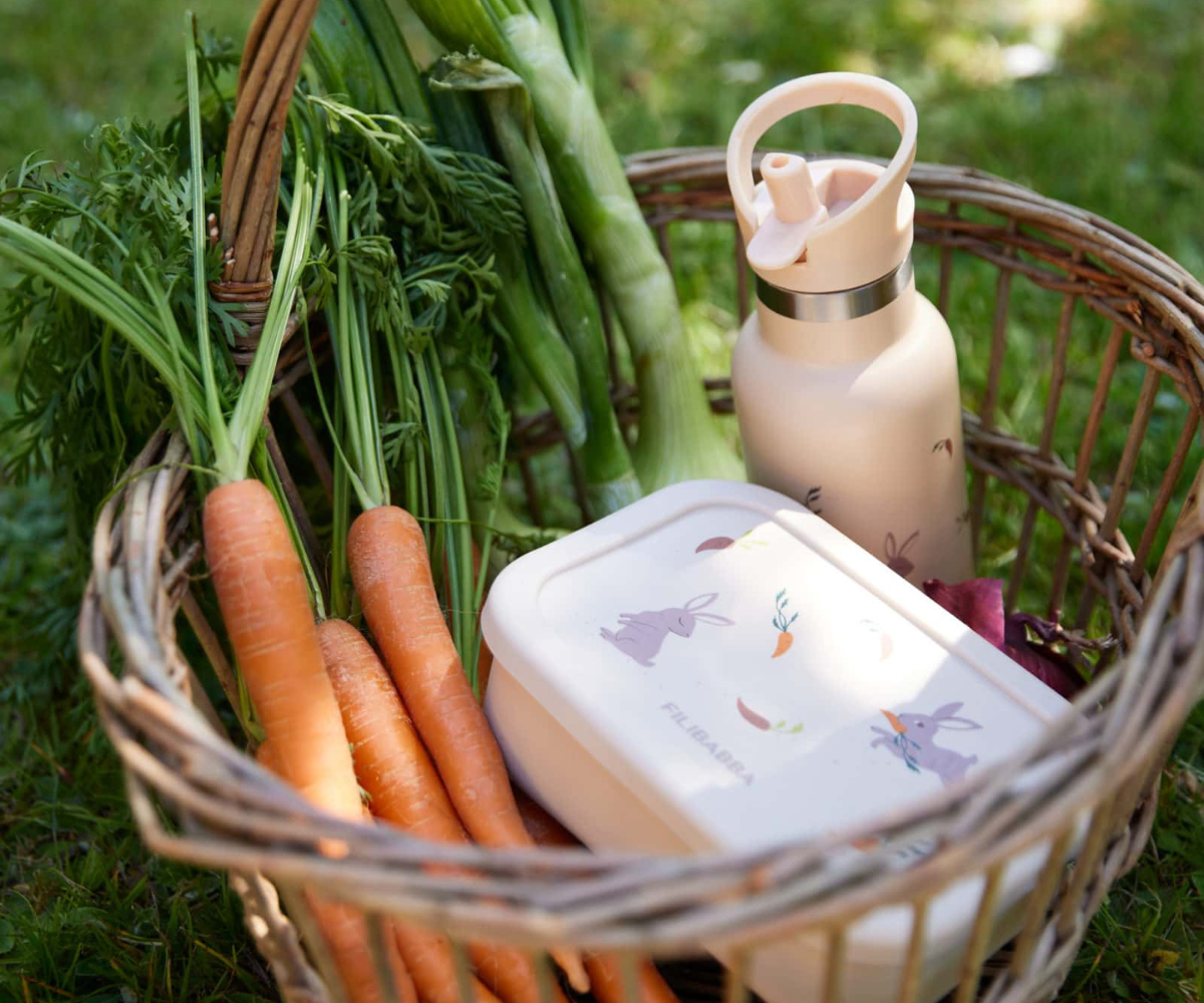 Filibabba Stainless Steel Water Bottle – Carrot Thief