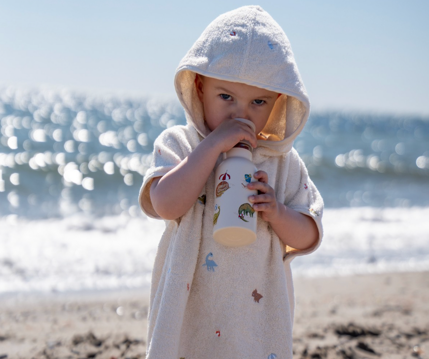 Filibabba Stainless Steel Water Bottle – Dino Beach