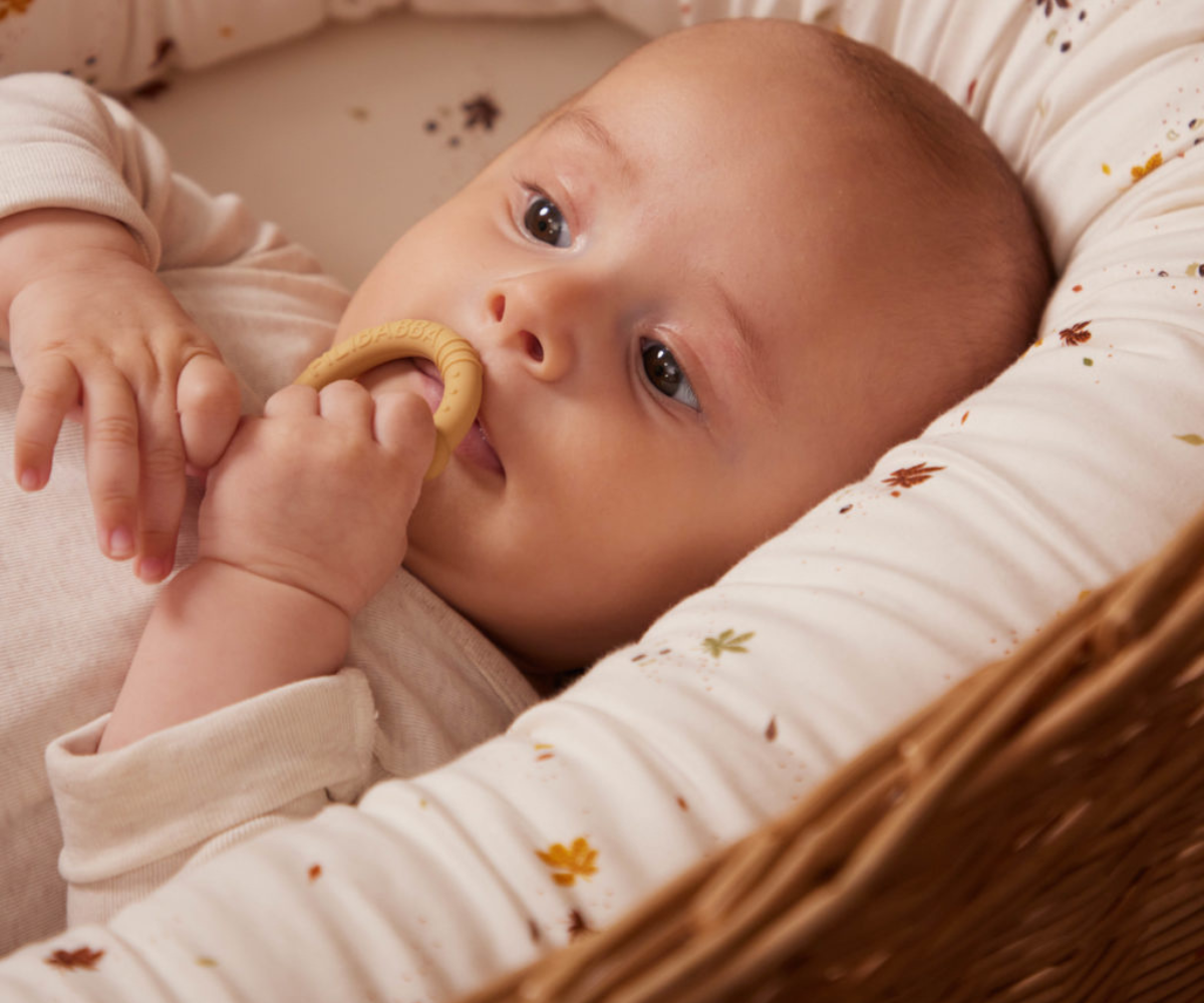 Filibabba Silicone Teether Ring 2 Pack – Vintage Rose